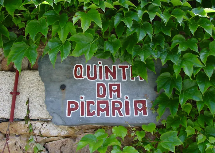 Nocleg ze śniadaniem Quinta Da Picaria