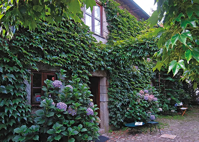 Quinta Da Picaria Nocleg ze śniadaniem 3*