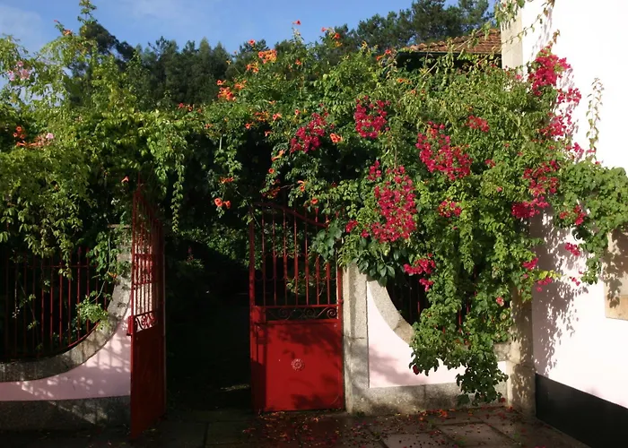 Nocleg ze śniadaniem Quinta Da Picaria 3*